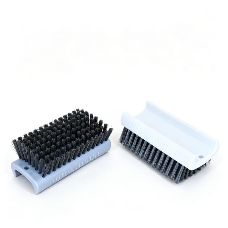 CLEAN WORLD Popular Household Brush Multi-Functional Plastic Laundry Shoes Brushes with PP Material