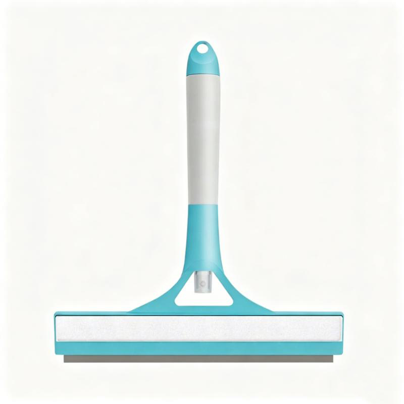 CLEAN WORLD Factory Wholesale Household Brushes Window Brush Wipes Glass Tool for Bathroom Mirror Cleaning