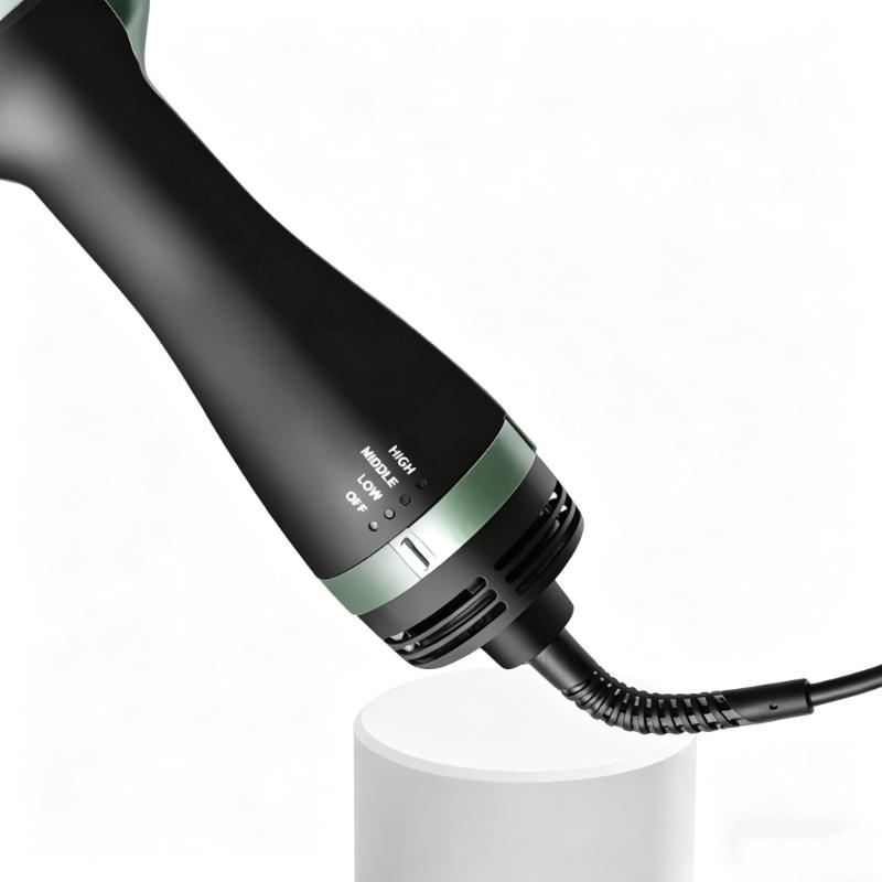 CLEAN WORLD Detachable Interchangeable Electric Hair Brushes Comb 1 Step Hair Dryer Brush Set with High Quality