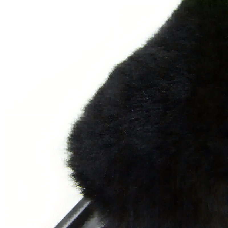 CLEAN WORLD Car wheel brush, Wheel and Rim Cleaning Brush - Soft Natural Bristle Detailing Tool for Tires, Exhausts & Delicate Surfaces - Wheel Cleaner Brush to Safely Clean Brake Dust, Grime and Dirt, 1 Pack