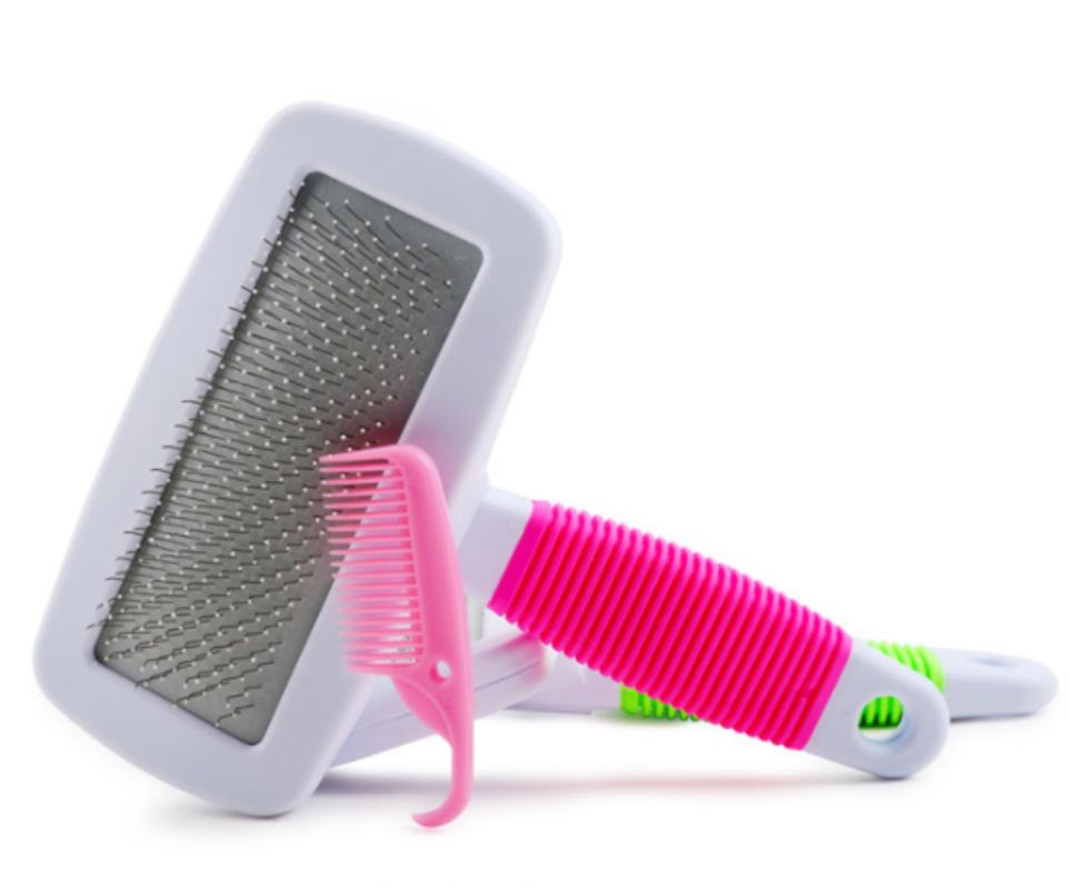 CLEAN WORLD Hot Selling Plastic Security Dog Cleaning Kit Two-color Fashion Pet Grooming Brush Set