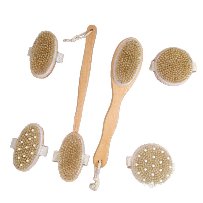 CLEAN WORLD Maple Wood Dry Body Brush, Natural Bristle Exfoliating Bath Brush with Long Handle for Back Scrubbing & Dead Skin Removal