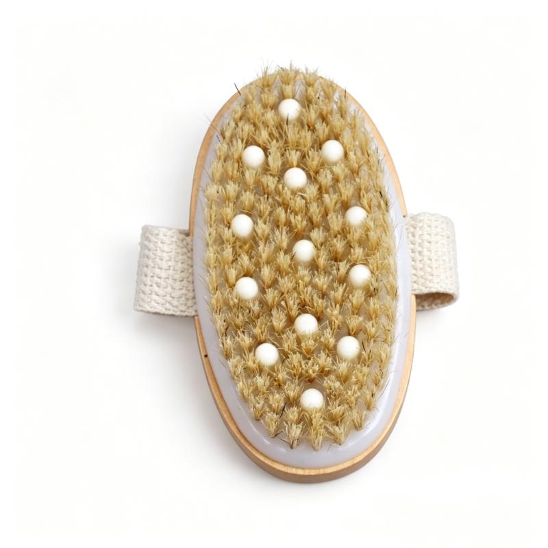 CLEAN WORLD Maple Wood Dry Body Brush, Natural Bristle Exfoliating Bath Brush with Long Handle for Back Scrubbing & Dead Skin Removal