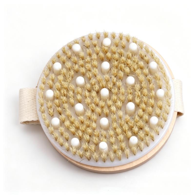 CLEAN WORLD Maple Wood Dry Body Brush, Natural Bristle Exfoliating Bath Brush with Long Handle for Back Scrubbing & Dead Skin Removal