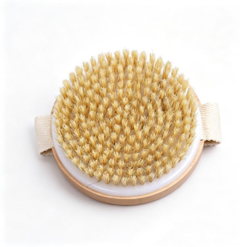 CLEAN WORLD Maple Wood Dry Body Brush, Natural Bristle Exfoliating Bath Brush with Long Handle for Back Scrubbing & Dead Skin Removal