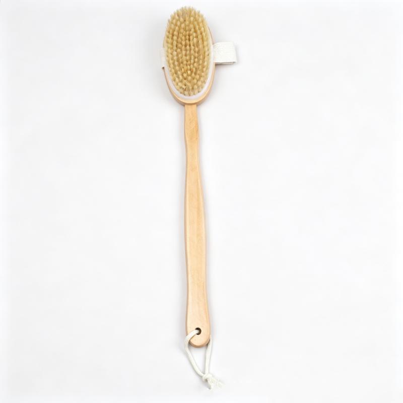 CLEAN WORLD Maple Wood Dry Body Brush, Natural Bristle Exfoliating Bath Brush with Long Handle for Back Scrubbing & Dead Skin Removal