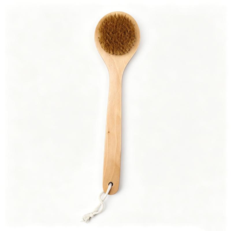 CLEAN WORLD Maple Wood Dry Body Brush, Natural Bristle Exfoliating Bath Brush with Long Handle for Back Scrubbing & Dead Skin Removal
