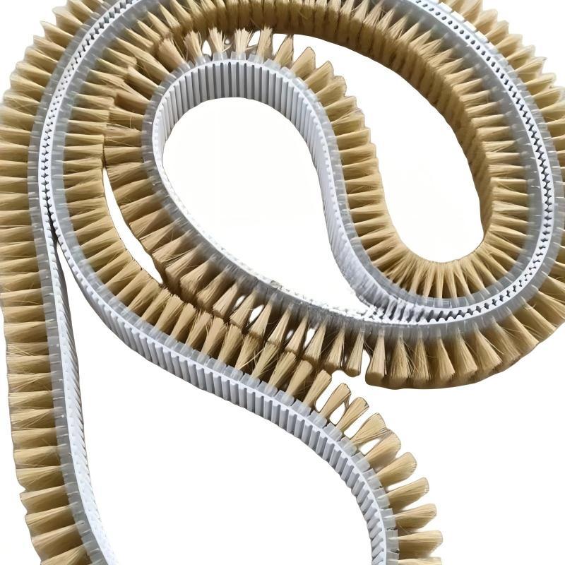 CLEAN WORLD Industrial Conveyor Belt Brush Hot Sale Industrial Leather Tampic Brush Belt Conveyor Belt Brush