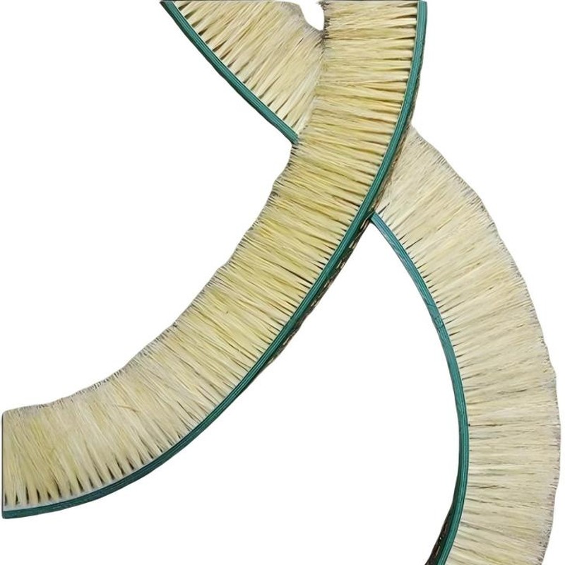 CLEAN WORLD Industrial Conveyor Belt Brush Hot Sale Industrial Leather Tampic Brush Belt Conveyor Belt Brush