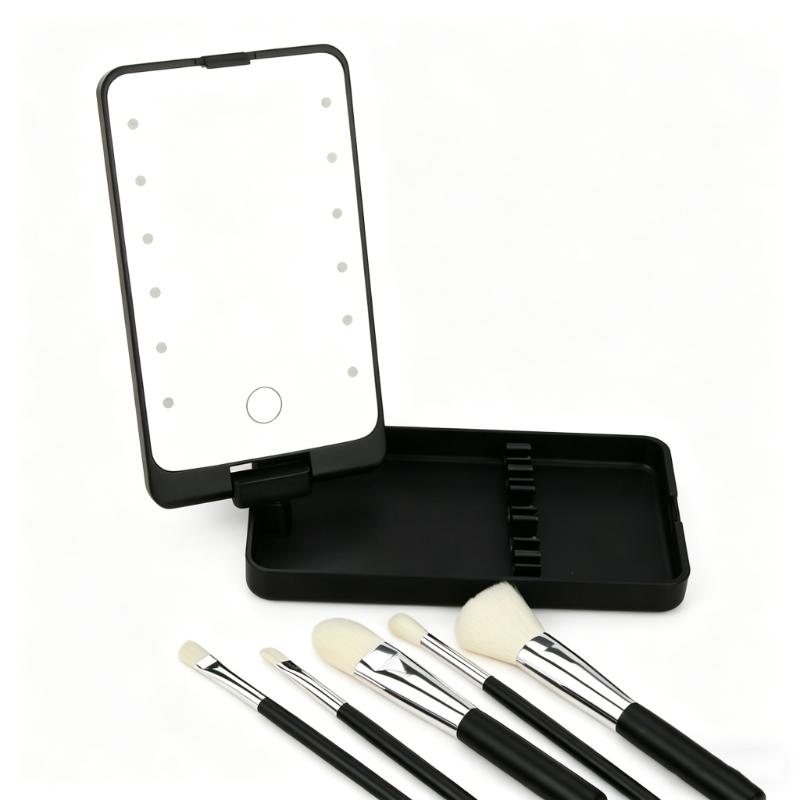 CLEAN WORLD Travel Makeup Brush Set with LED Light Mirror, Premium Synthetic Bristles Foundation Brush Eyeshadow Brushes, Portable Pink Cosmetic Brushes Kit for Beginners