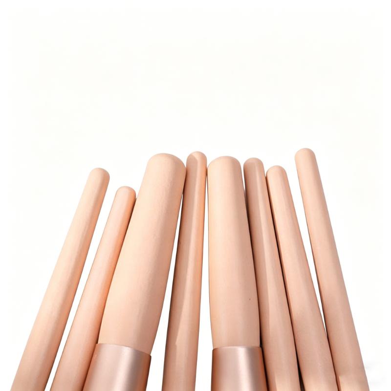 CLEAN WORLD 8PCS Makeup Brush Set with Travel Case, Premium Synthetic Bristles Cosmetic Brushes for Foundation, Eyeshadow, Blush & Concealer