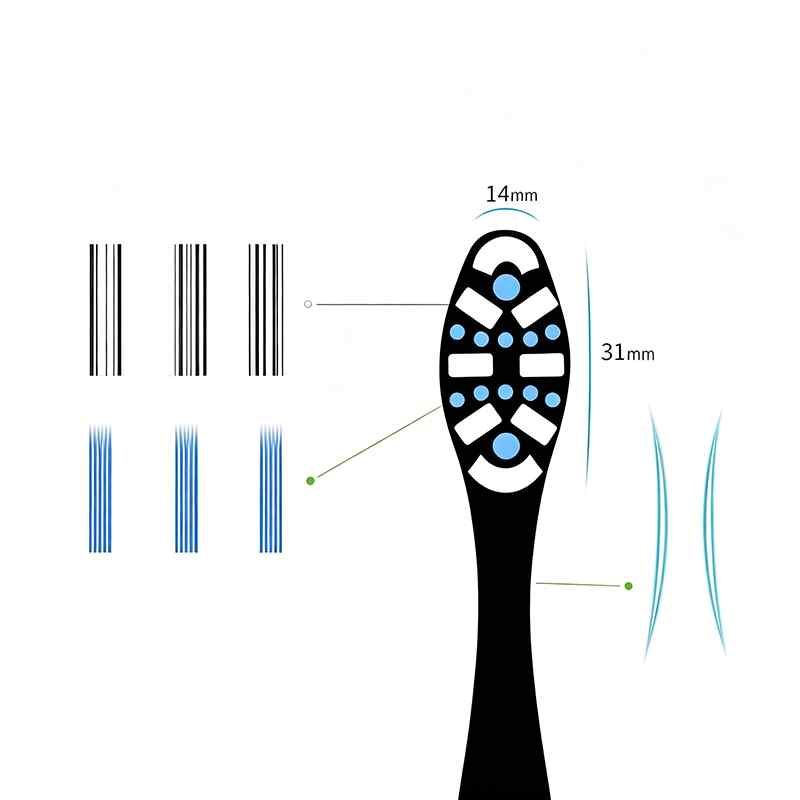 CLEAN WORLD Deep Clean Hard Bristle Toothbrush, Effective on Smoke Stains & Discoloration