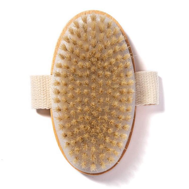 CLEAN WORLD Dry Brushing Body Brush, Natural Bristle Exfoliating Brush with Wooden Handle, for Cellulite Reduction, Lymphatic Drainage and Skin Exfoliation