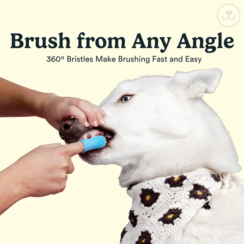 CLEAN WORLD 360° Silicone Dog Finger Toothbrush Kit, 2-Pack Soft Pet Teeth Cleaning Brush for Dogs & Cats, Gentle Dental Care for Small & Large Pets