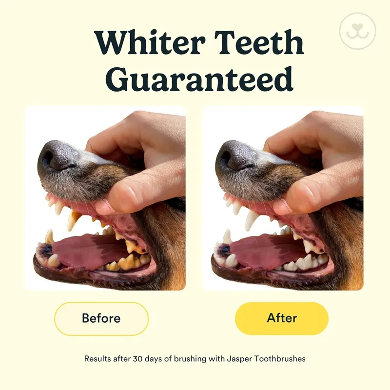 CLEAN WORLD 360° Silicone Dog Finger Toothbrush Kit, 2-Pack Soft Pet Teeth Cleaning Brush for Dogs & Cats, Gentle Dental Care for Small & Large Pets