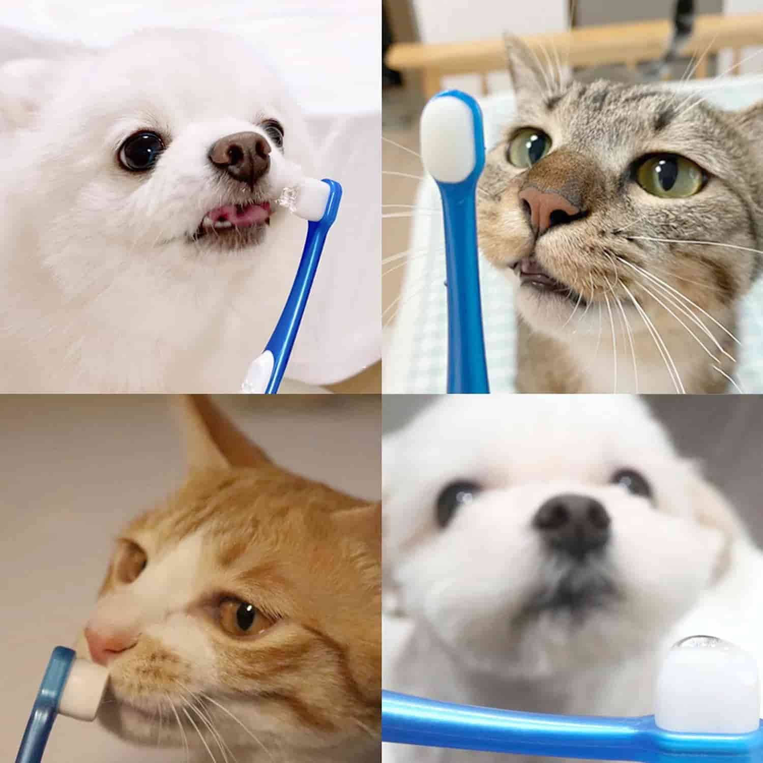 CLEAN WORLD OEM Soft Nylon Bristle Pet Toothbrush, Non‑Slip Slender Handle Manual Small Dog Cat Dental Cleaning Brush
