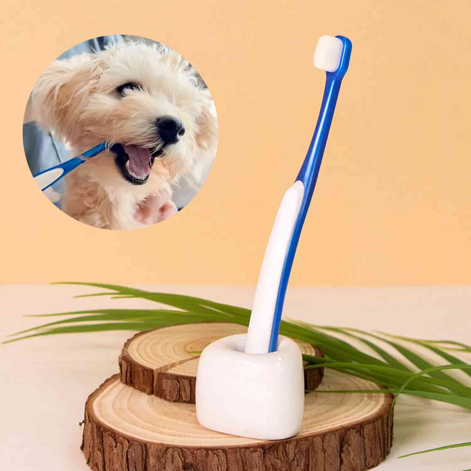 CLEAN WORLD OEM Soft Nylon Bristle Pet Toothbrush, Non‑Slip Slender Handle Manual Small Dog Cat Dental Cleaning Brush