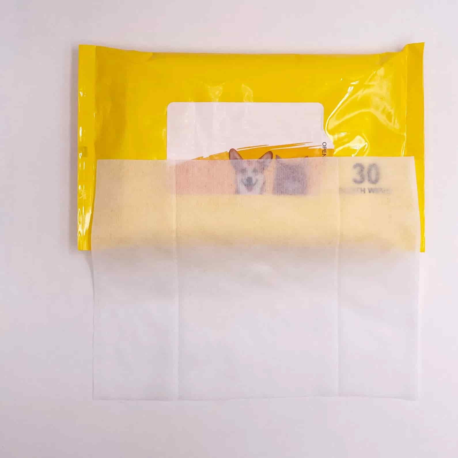 CLEAN WORLD Antibacterial Pet Wet Wipes, Customizable Cleansing Deodorizing Non‑Woven Pet Cleaning Wipes with Free Samples