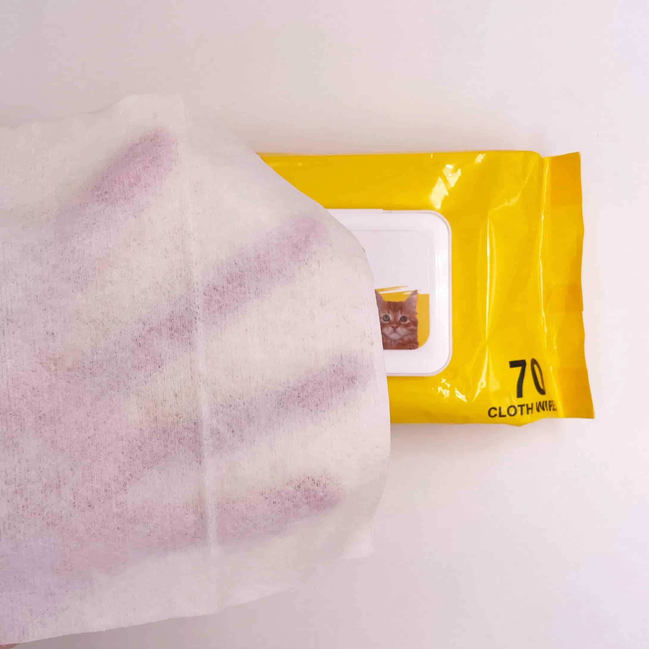 CLEAN WORLD Antibacterial Pet Wet Wipes, Customizable Cleansing Deodorizing Non‑Woven Pet Cleaning Wipes with Free Samples