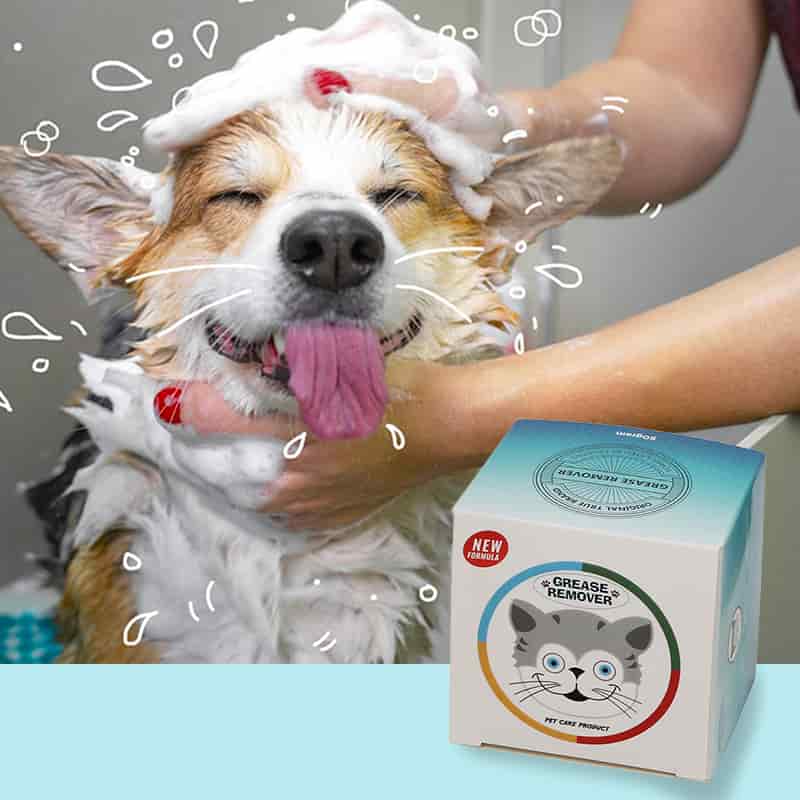 CLEAN WORLD OEM Factory Supply 50ml Portable Pet Shampoo, Plant‑Based Antibacterial Degreasing Moisturizing Dog Cat Body Wash