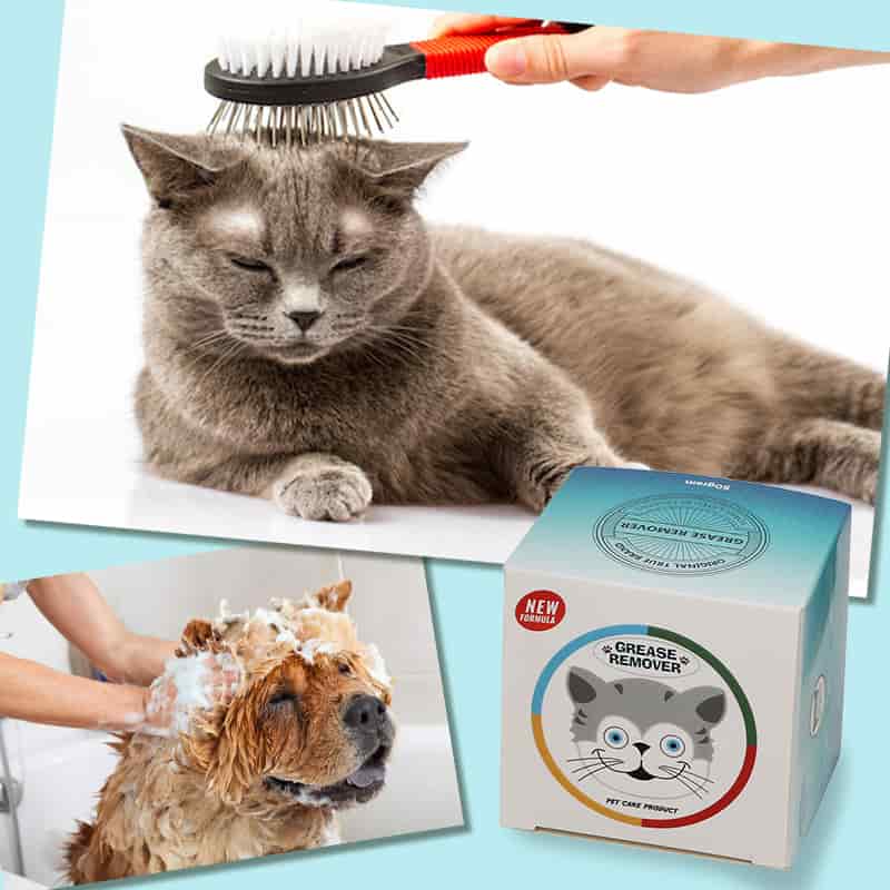 CLEAN WORLD OEM Factory Supply 50ml Portable Pet Shampoo, Plant‑Based Antibacterial Degreasing Moisturizing Dog Cat Body Wash