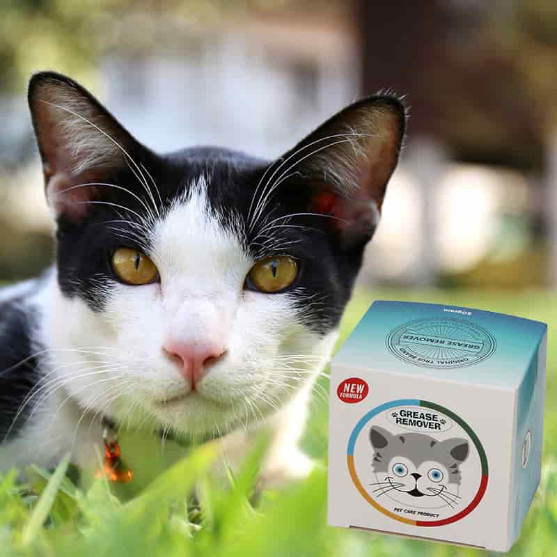 CLEAN WORLD OEM Factory Supply 50ml Portable Pet Shampoo, Plant‑Based Antibacterial Degreasing Moisturizing Dog Cat Body Wash