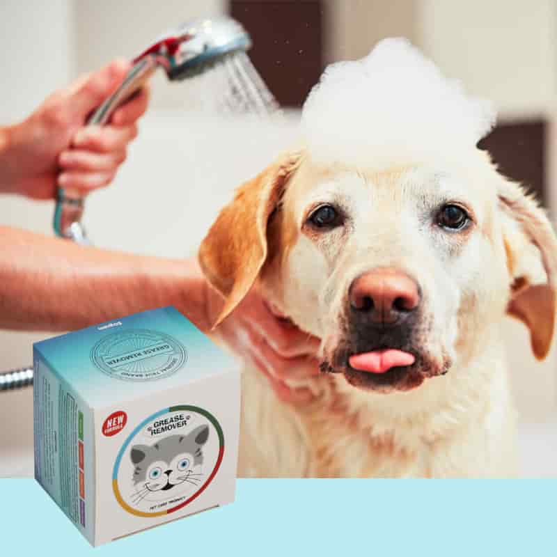 CLEAN WORLD OEM Factory Supply 50ml Portable Pet Shampoo, Plant‑Based Antibacterial Degreasing Moisturizing Dog Cat Body Wash