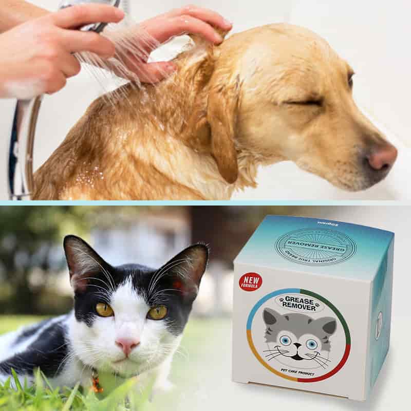 CLEAN WORLD OEM Factory Supply 50ml Portable Pet Shampoo, Plant‑Based Antibacterial Degreasing Moisturizing Dog Cat Body Wash