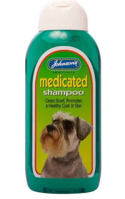 CLEAN WORLD Oatmeal Aloe Pet Shampoo, Hypoallergenic Gentle Dog Cat Bath Wash for Sensitive Skin