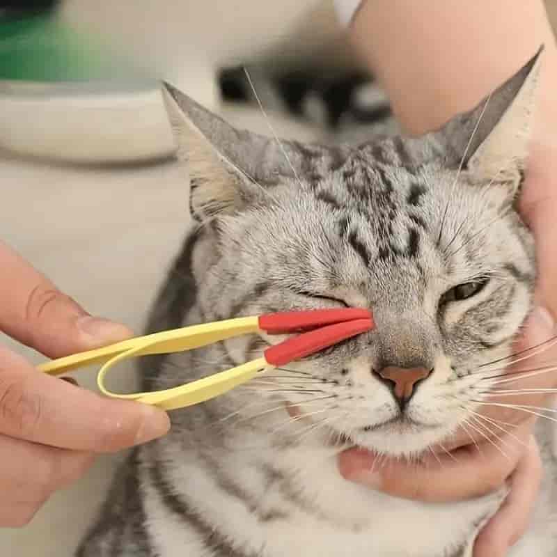 CLEAN WORLD Soft Silicone Pet Tear Stain Brush, Gentle Eye Dirt Cleaner Clip for Dogs Cats Small Animals