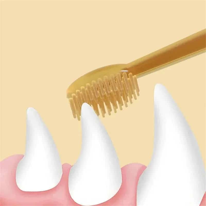 CLEAN WORLD Wholesale Soft Silicone Pet Toothbrush Set, Teeth Tongue Cleaning Whitening Brush for Dogs Cats Small Animals