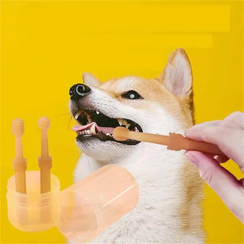 CLEAN WORLD Wholesale Soft Silicone Pet Toothbrush Set, Teeth Tongue Cleaning Whitening Brush for Dogs Cats Small Animals