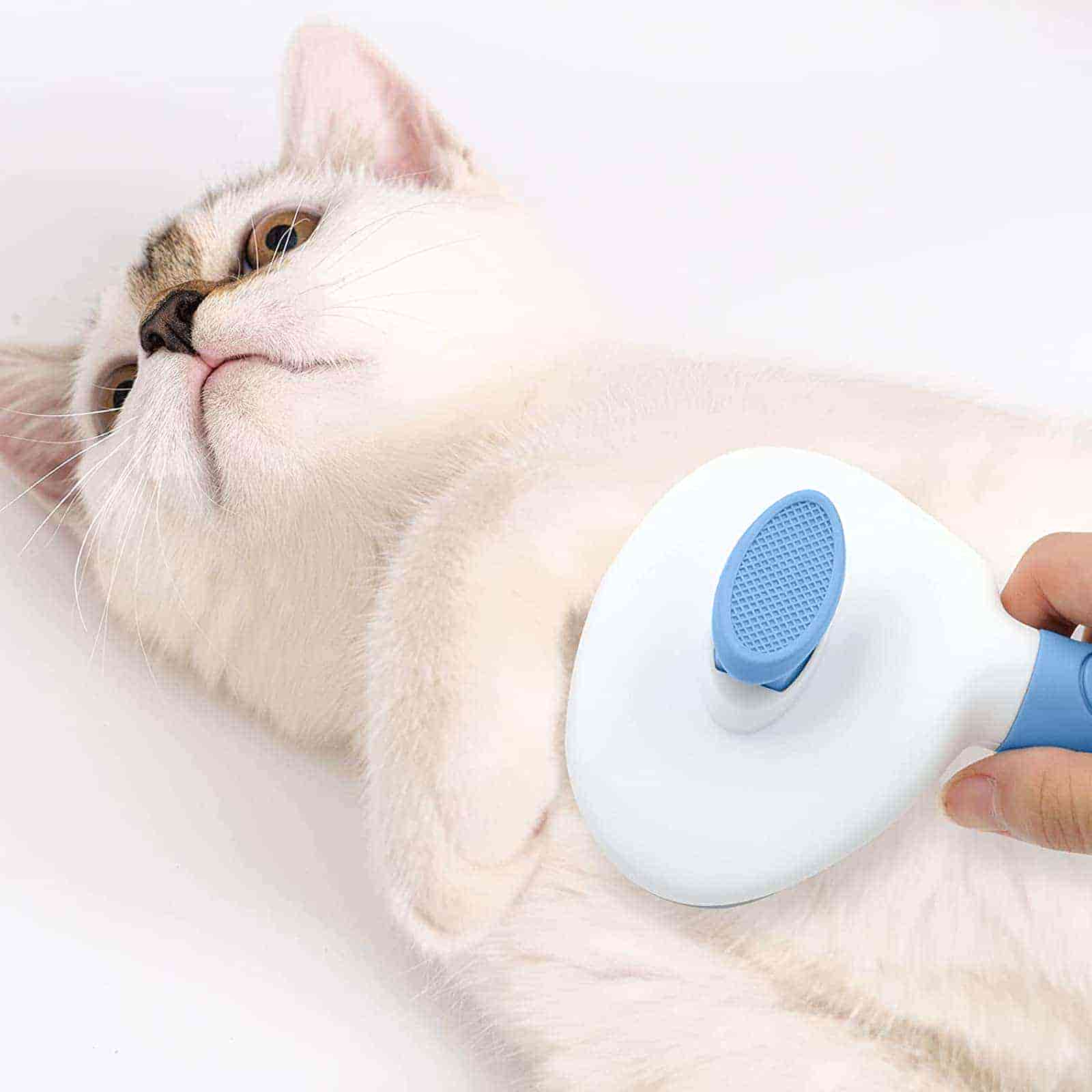 CLEAN WORLD 2-Pack Cat Dog Brush Set, Self Cleaning Pet Hair Brush with Release Button & Metal Comb for Shedding