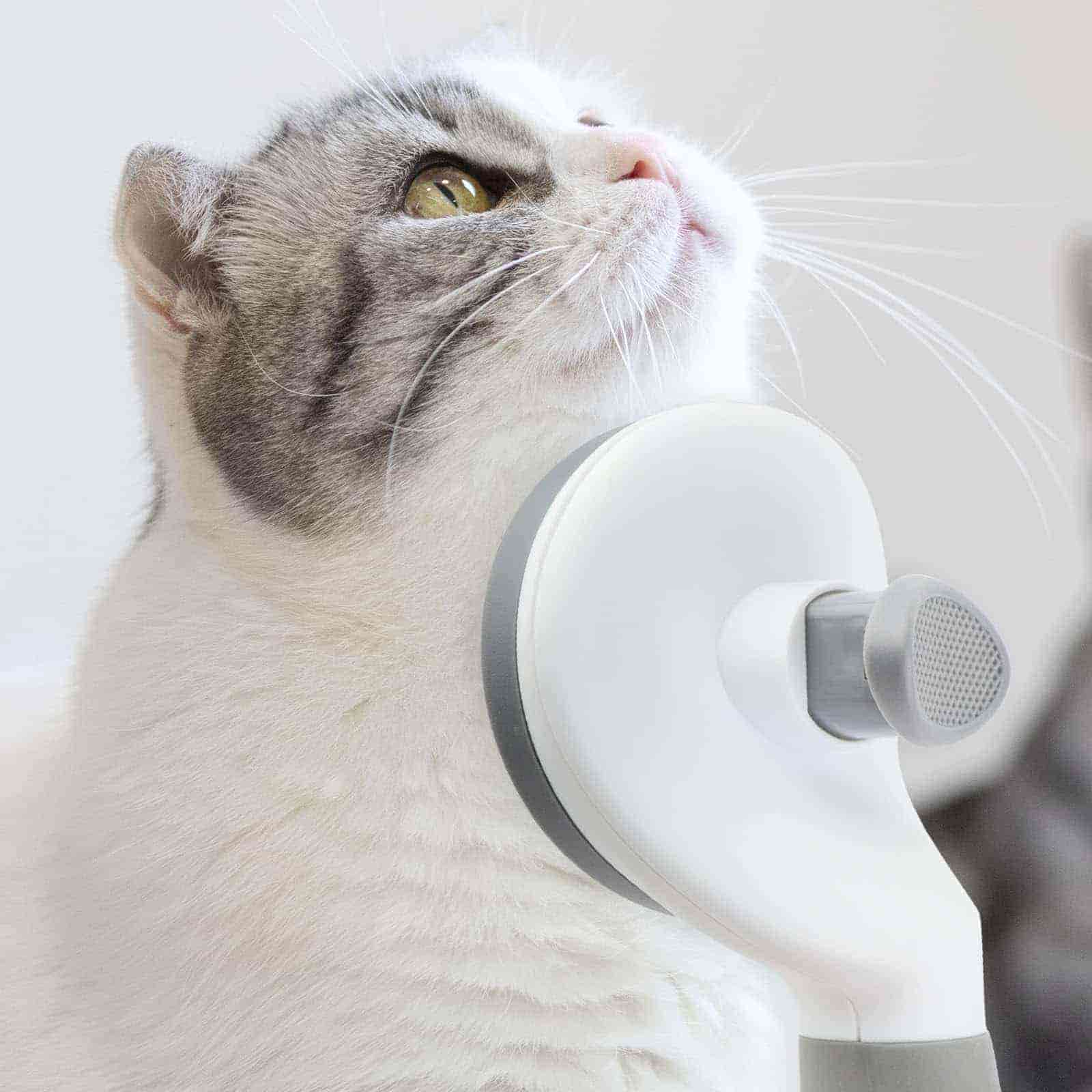 CLEAN WORLD Indoor Cat Grooming Brush Kit, One-Click Self-Clean Deshedding Brush with Fine-Tooth Comb