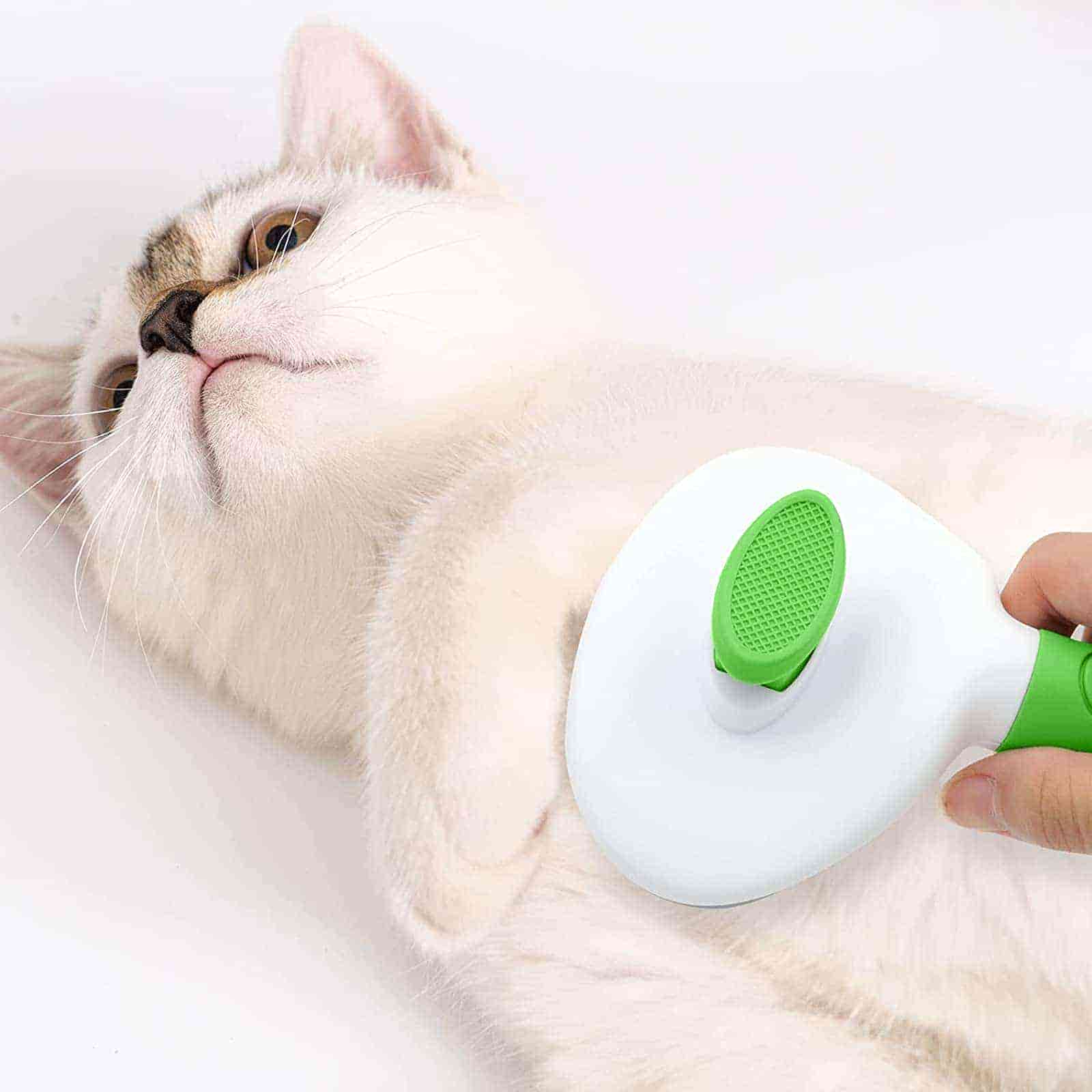 CLEAN WORLD Skin-Friendly Pet Hair Remover Brush, Rubber-Tipped Metal Pin Brush for Dogs Cats Rabbits