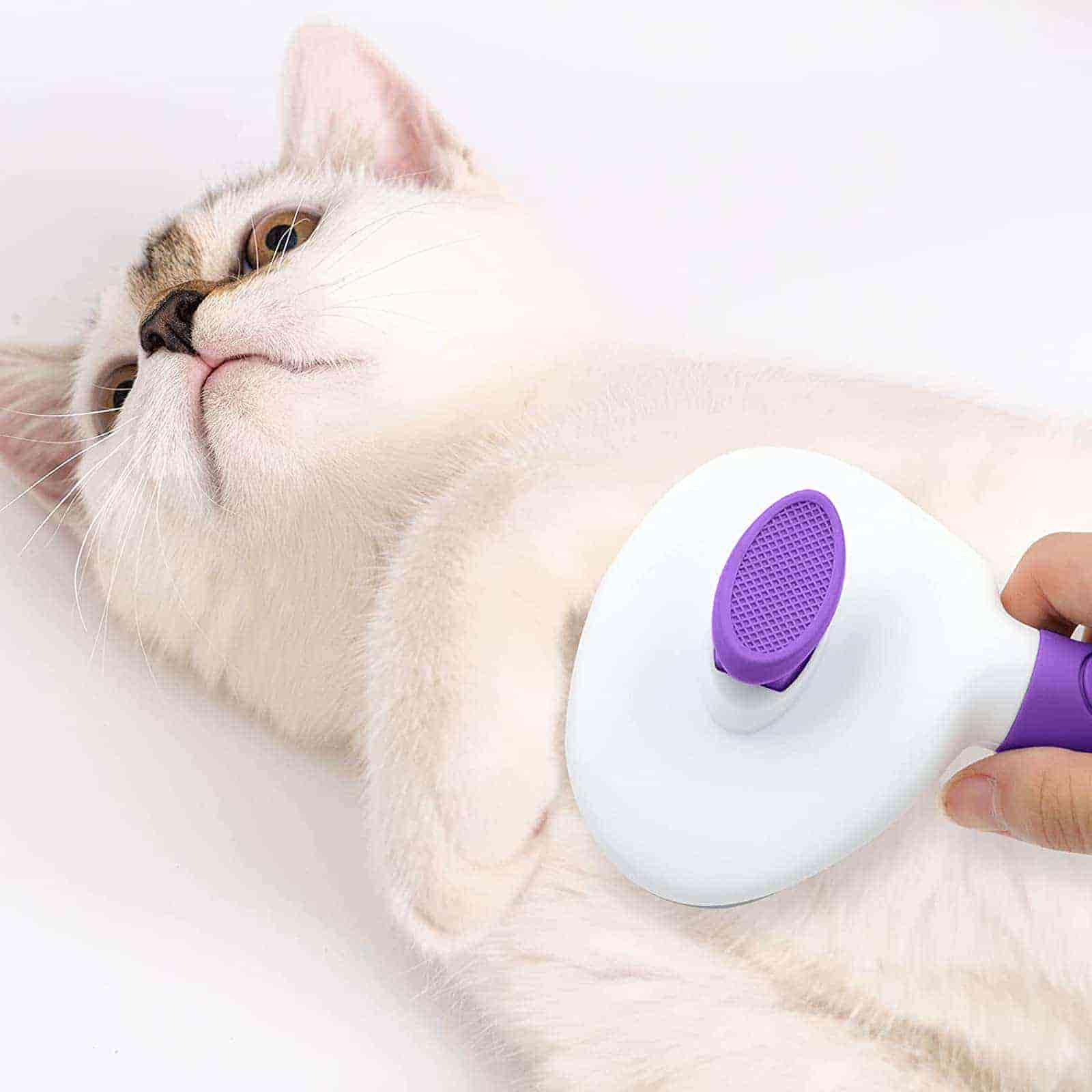 CLEAN WORLD Non-Slip Handle Pet Brush Kit, 2-in-1 Deshedding & Dematting Tools for Kittens Puppies