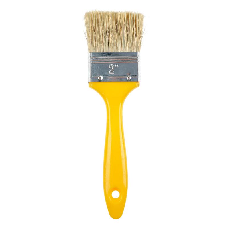CLEAN WORLD Eco-Friendly Natural Bristle Paint Brush | Color Plastic Handle DIY Wall & Artist Paint Brushes with OEM Available